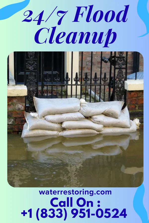 24/7 Flood Cleanup in Dundee, NY