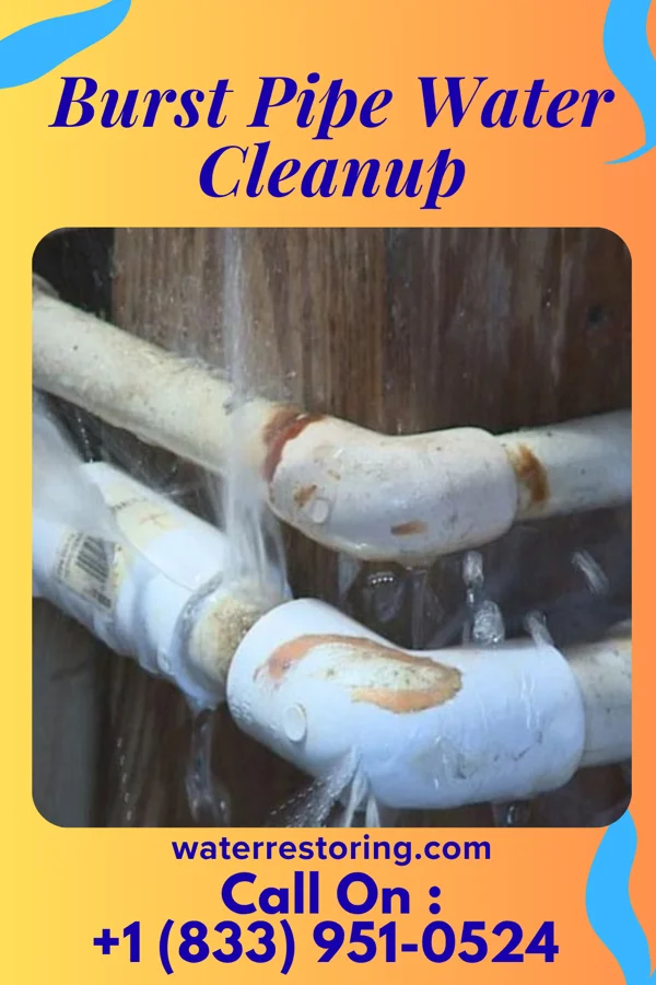 Burst Pipe Water Cleanup in Dundee, NY