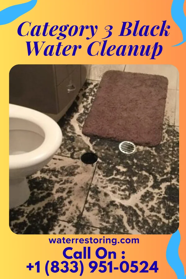 Category 3 Black Water Cleanup in Dundee, NY