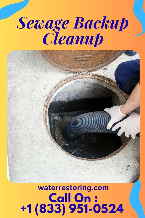 Sewage Backup Cleanup in Dundee, NY