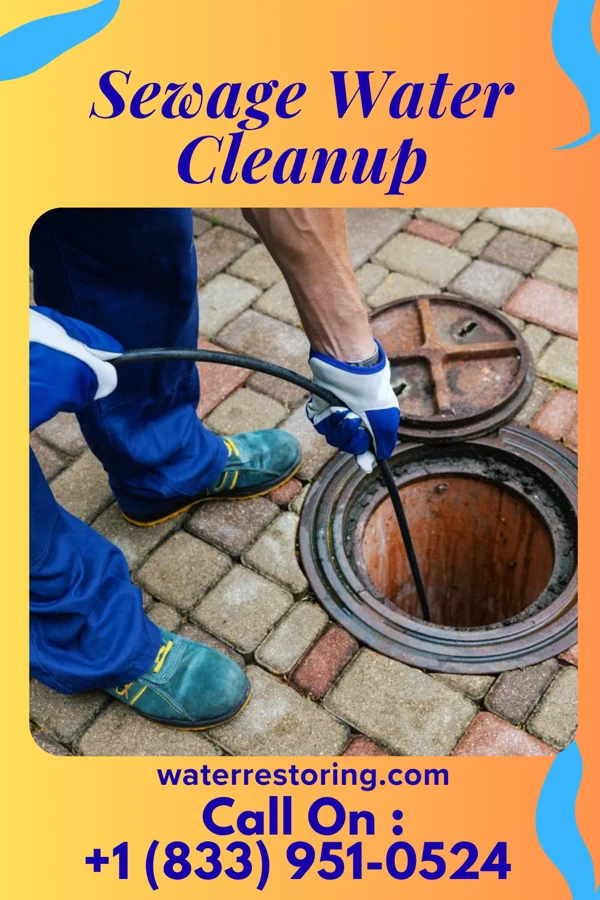 Sewage Water Cleanup in Dundee, NY