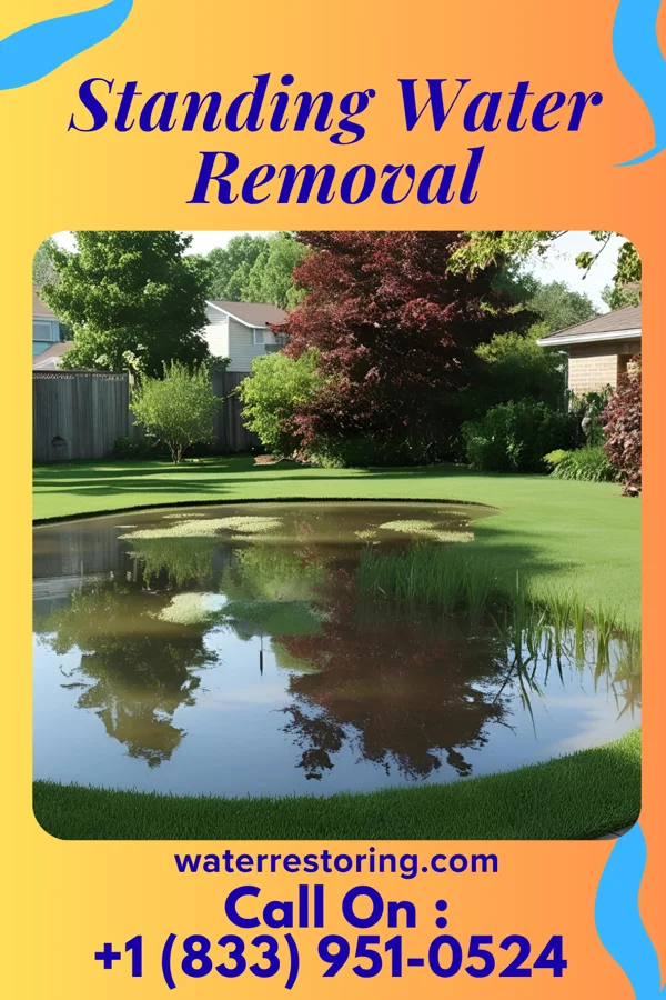 Standing Water Removal in Dundee, NY